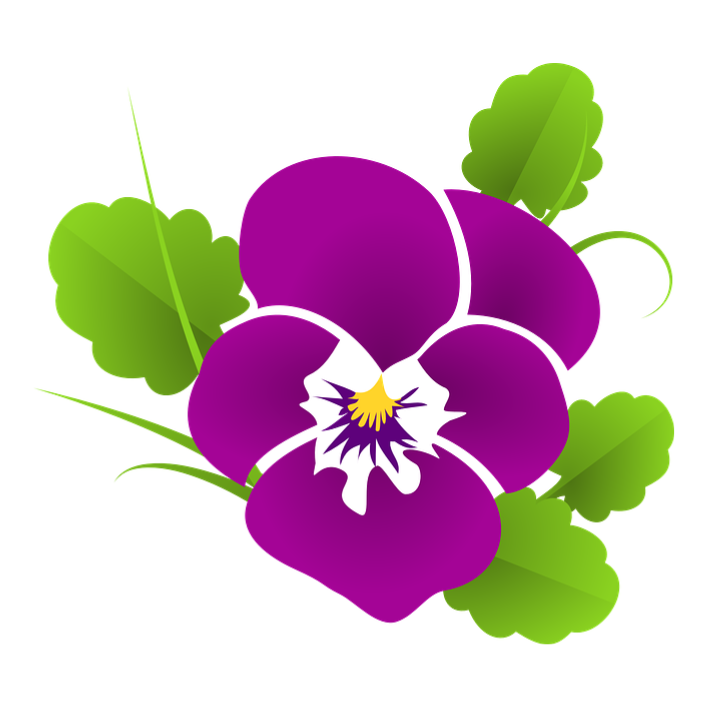 Purple flower