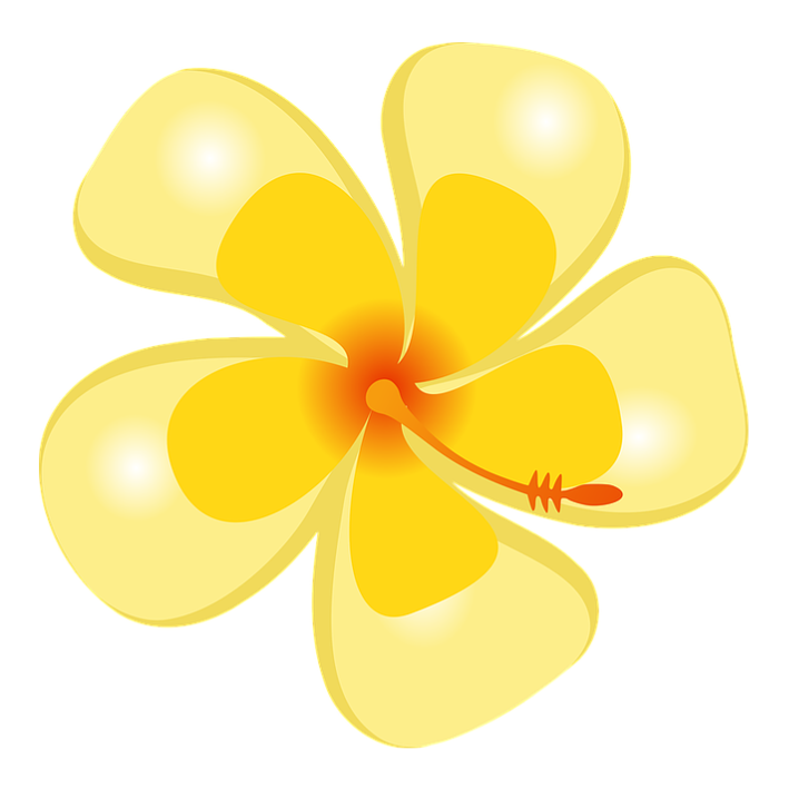 Yellow Flower