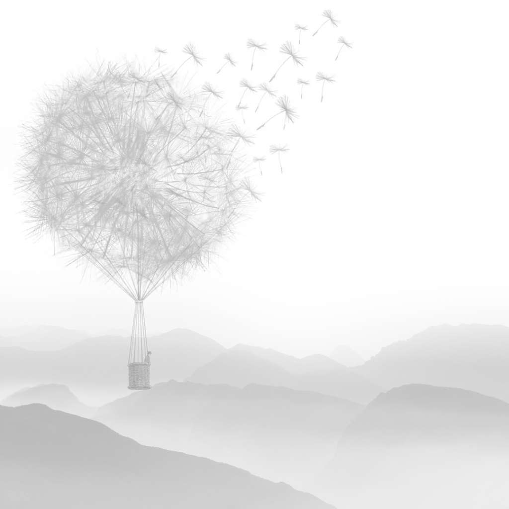 Black and White image of a hot air balloon flying with a dandelion as the balloon therapy