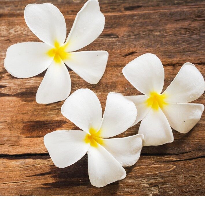 Hawaiian Flowers on Wooden Background hawaiian huna