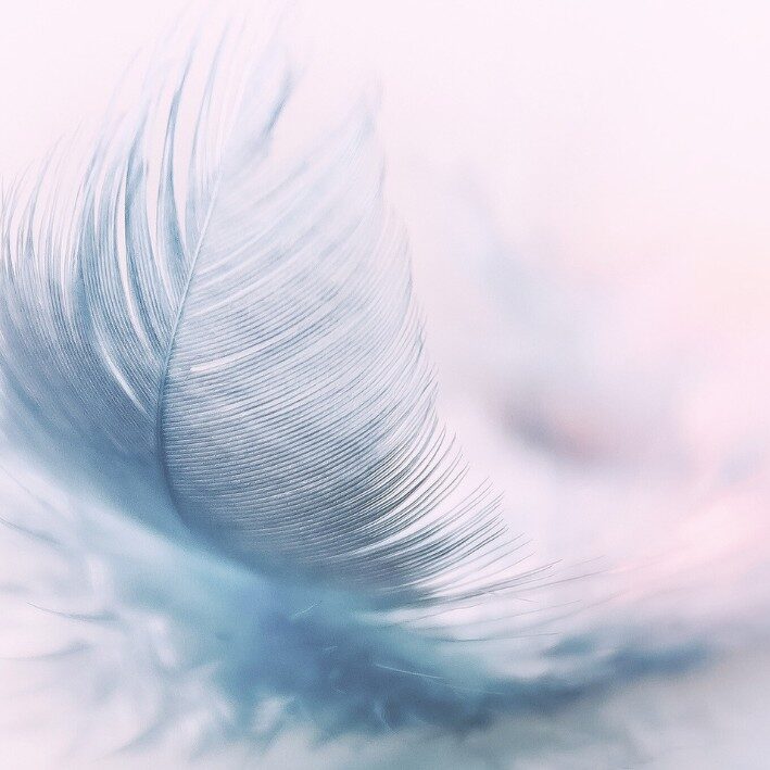 Feather with purple and pink hues psychotherapy